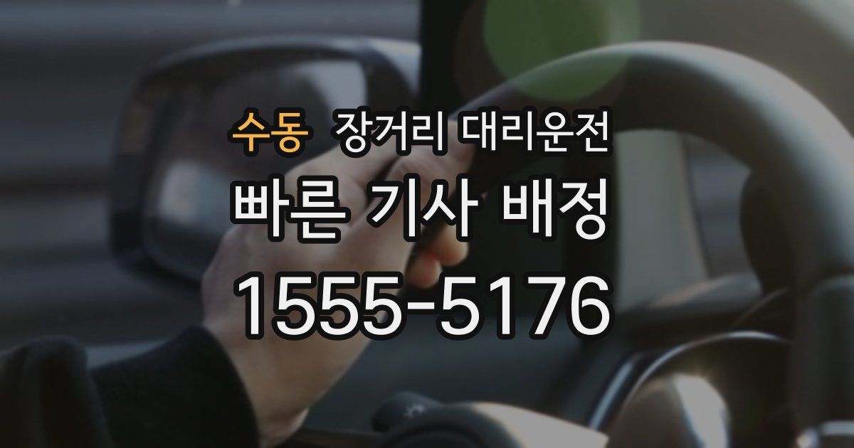 수동 장거리 대리운전