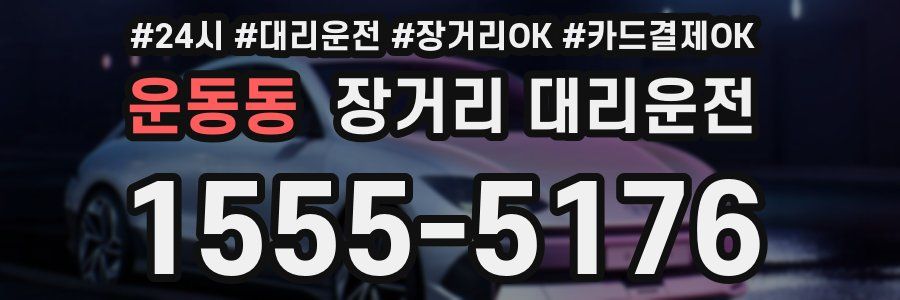 운동동 장거리 대리운전
