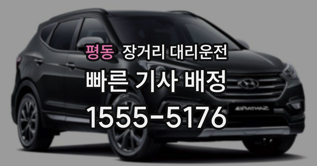 평동 장거리 대리운전