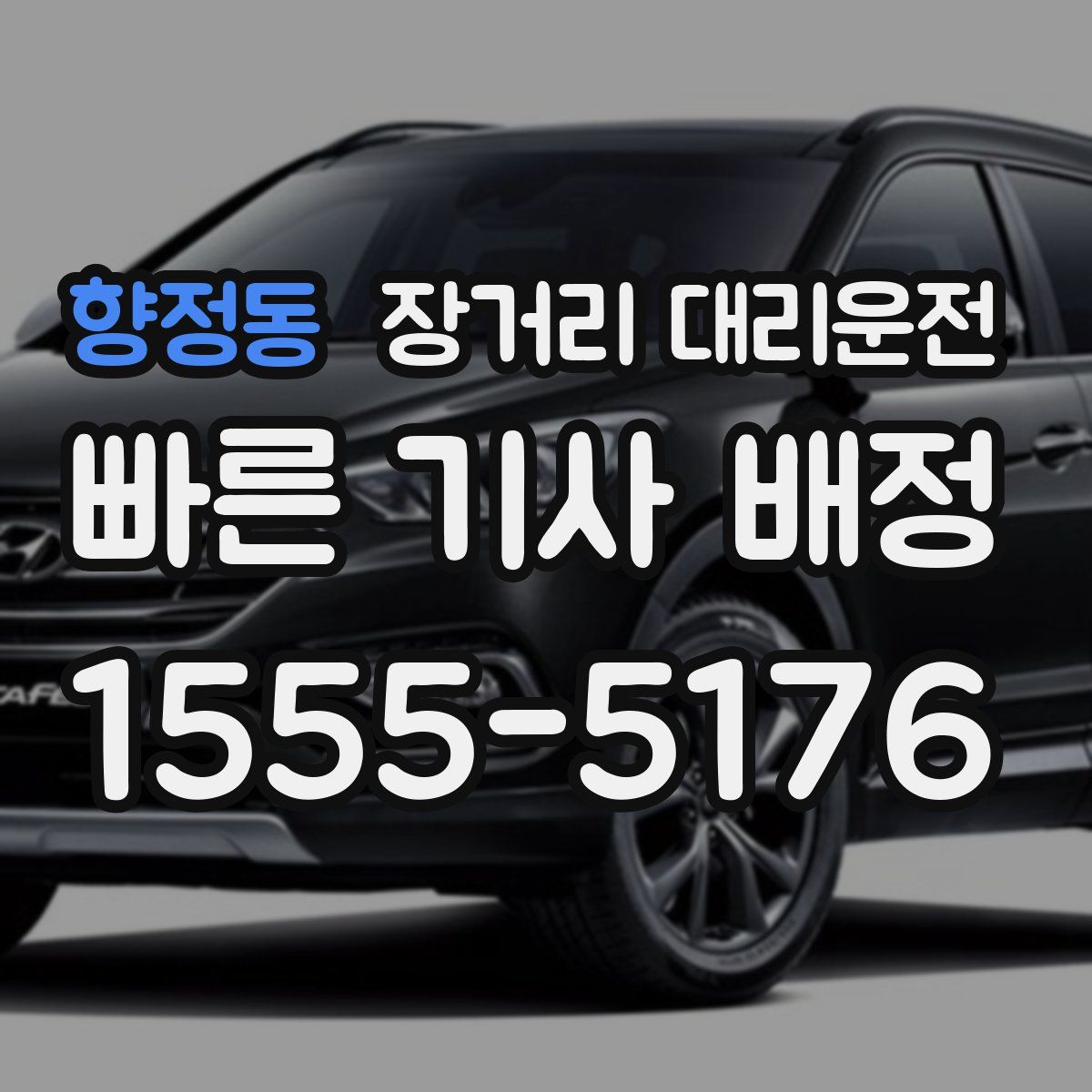 향정동 장거리 대리운전