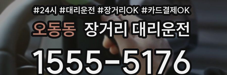 오동동 장거리 대리운전
