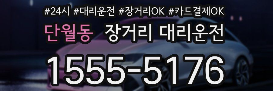 단월동 장거리 대리운전