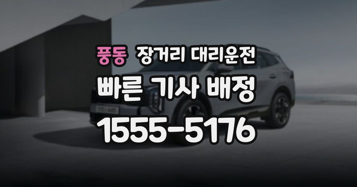 풍동 장거리 대리운전
