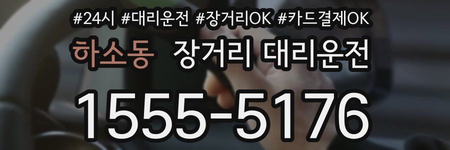 하소동 장거리 대리운전