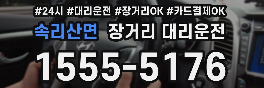 속리산면 장거리 대리운전