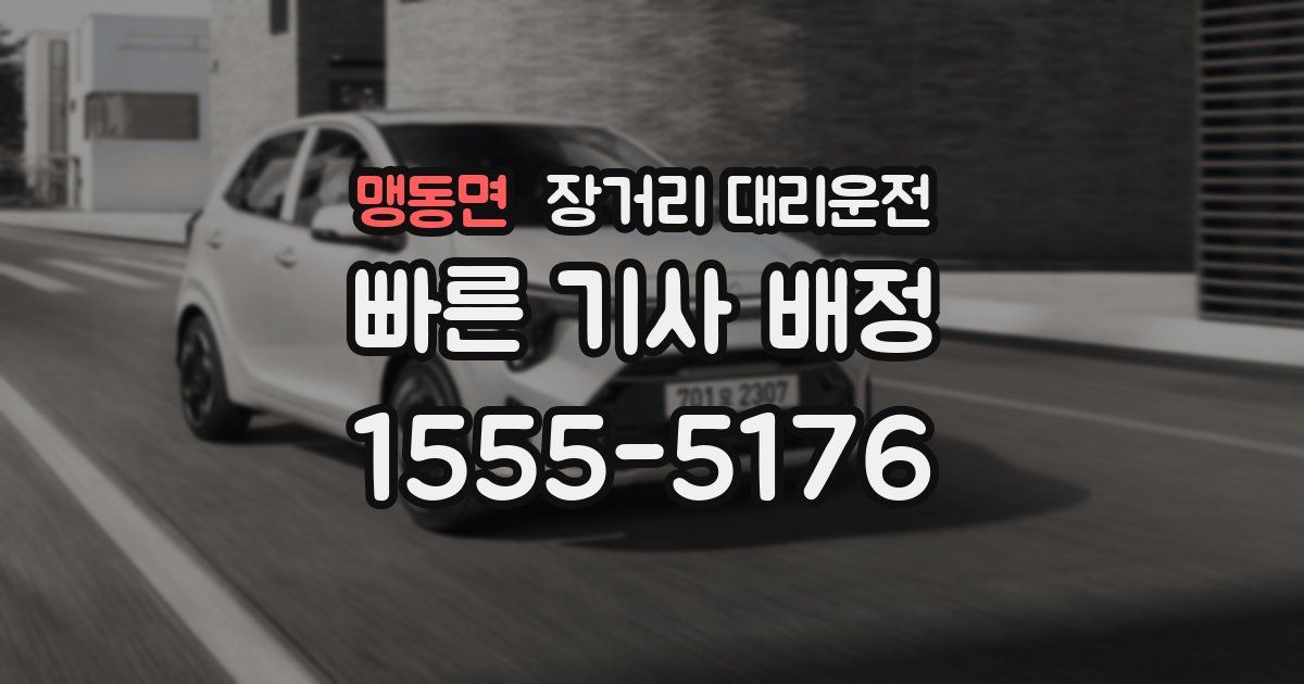맹동면 장거리 대리운전