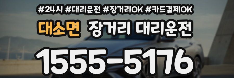 대소면 장거리 대리운전