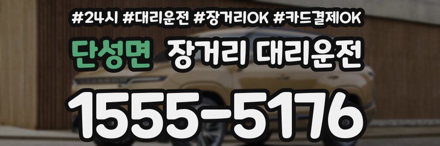 단성면 장거리 대리운전