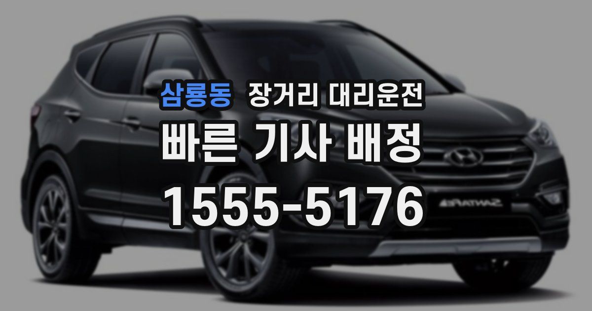 삼룡동 장거리 대리운전