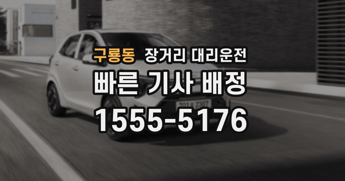 구룡동 장거리 대리운전