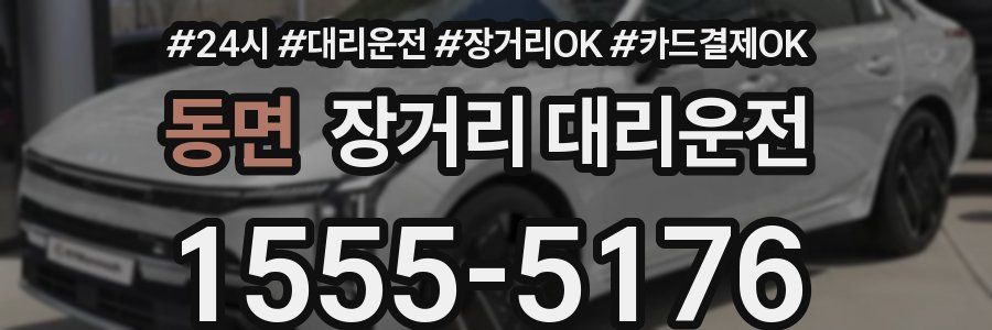 동면 장거리 대리운전