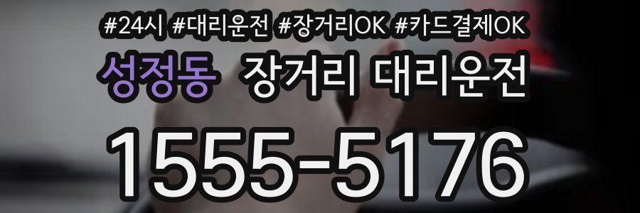 성정동 장거리 대리운전
