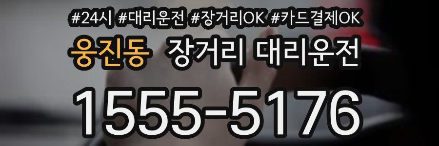 웅진동 장거리 대리운전