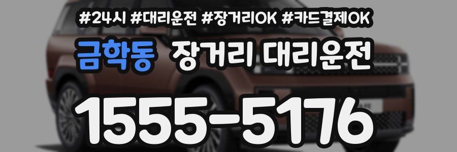 금학동 장거리 대리운전