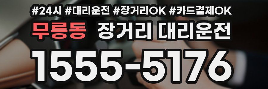 무릉동 장거리 대리운전