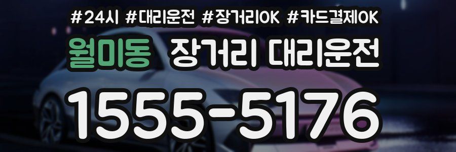 월미동 장거리 대리운전