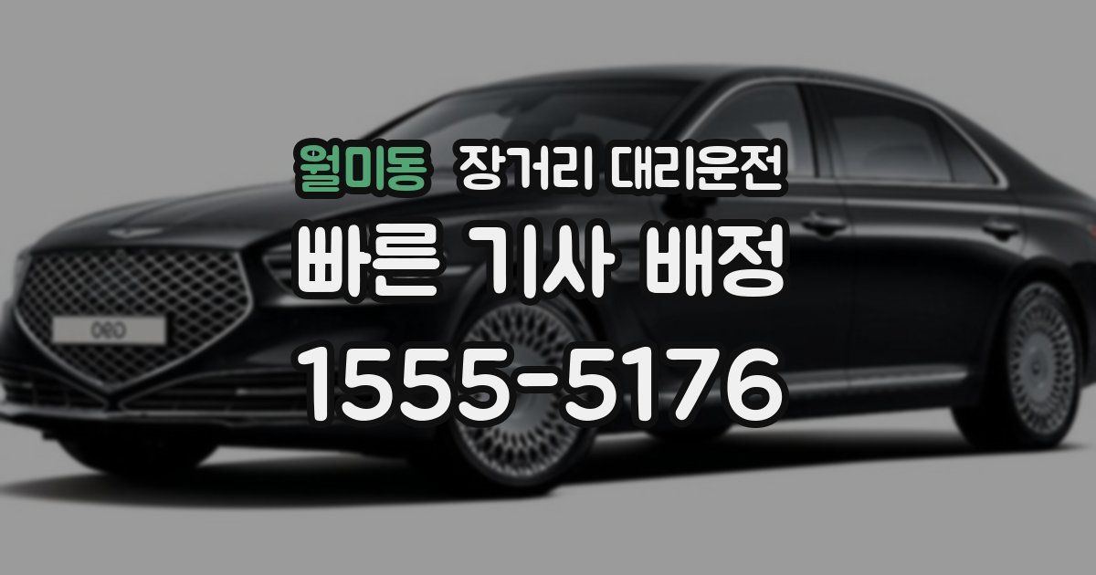 월미동 장거리 대리운전