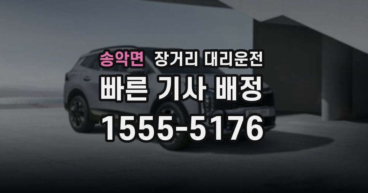 송악면 장거리 대리운전