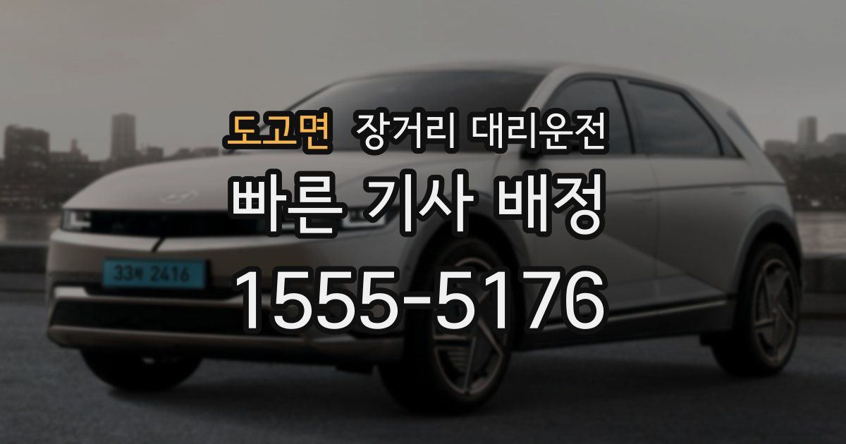 도고면 장거리 대리운전