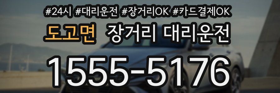 도고면 장거리 대리운전