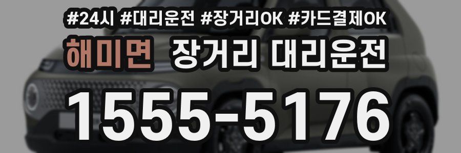 해미면 장거리 대리운전