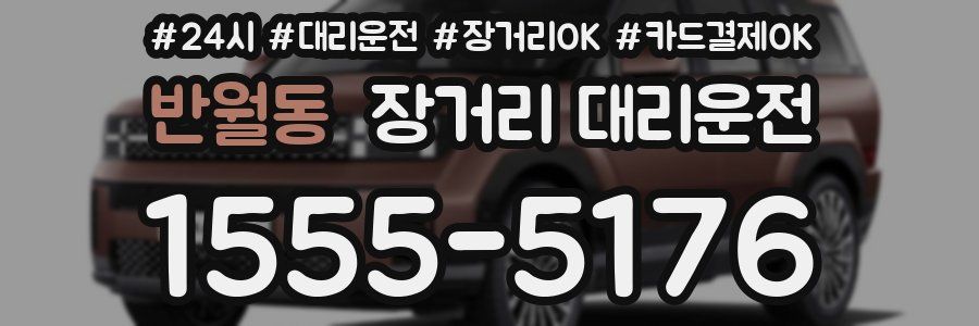 반월동 장거리 대리운전