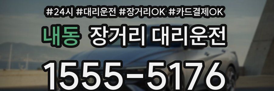 내동 장거리 대리운전
