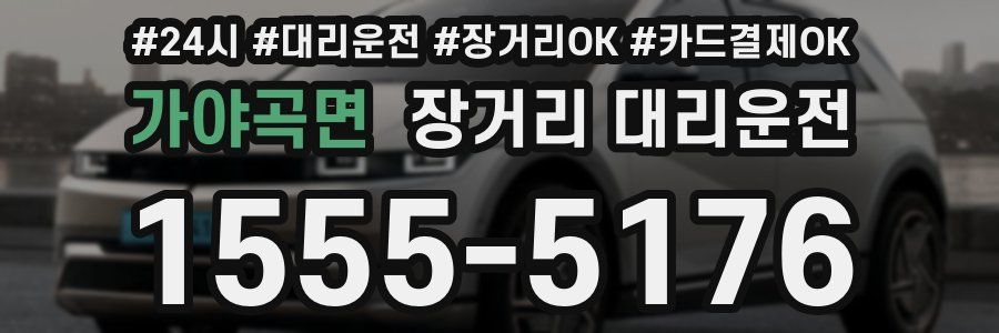 가야곡면 장거리 대리운전