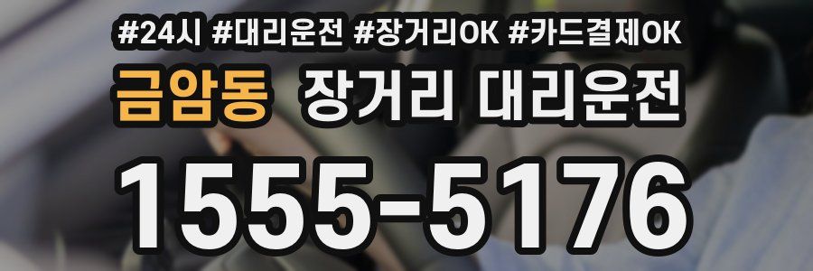 금암동 장거리 대리운전
