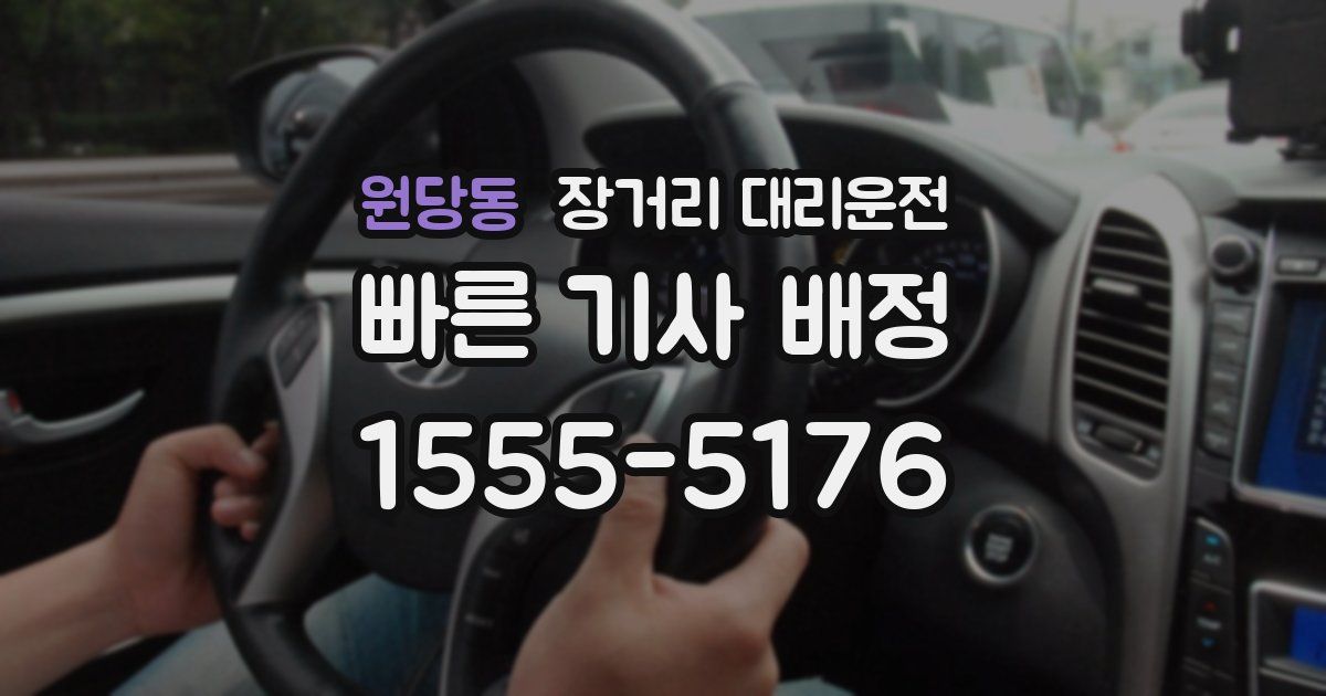 원당동 장거리 대리운전