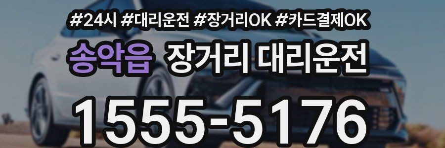 송악읍 장거리 대리운전
