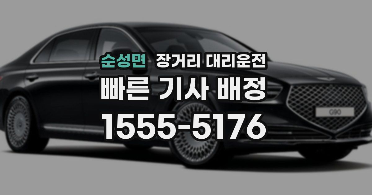 순성면 장거리 대리운전