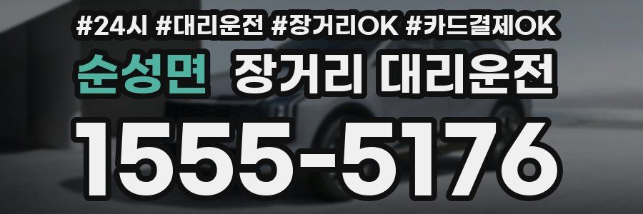 순성면 장거리 대리운전