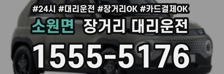 소원면 장거리 대리운전