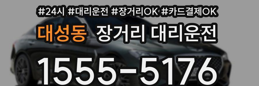 대성동 장거리 대리운전