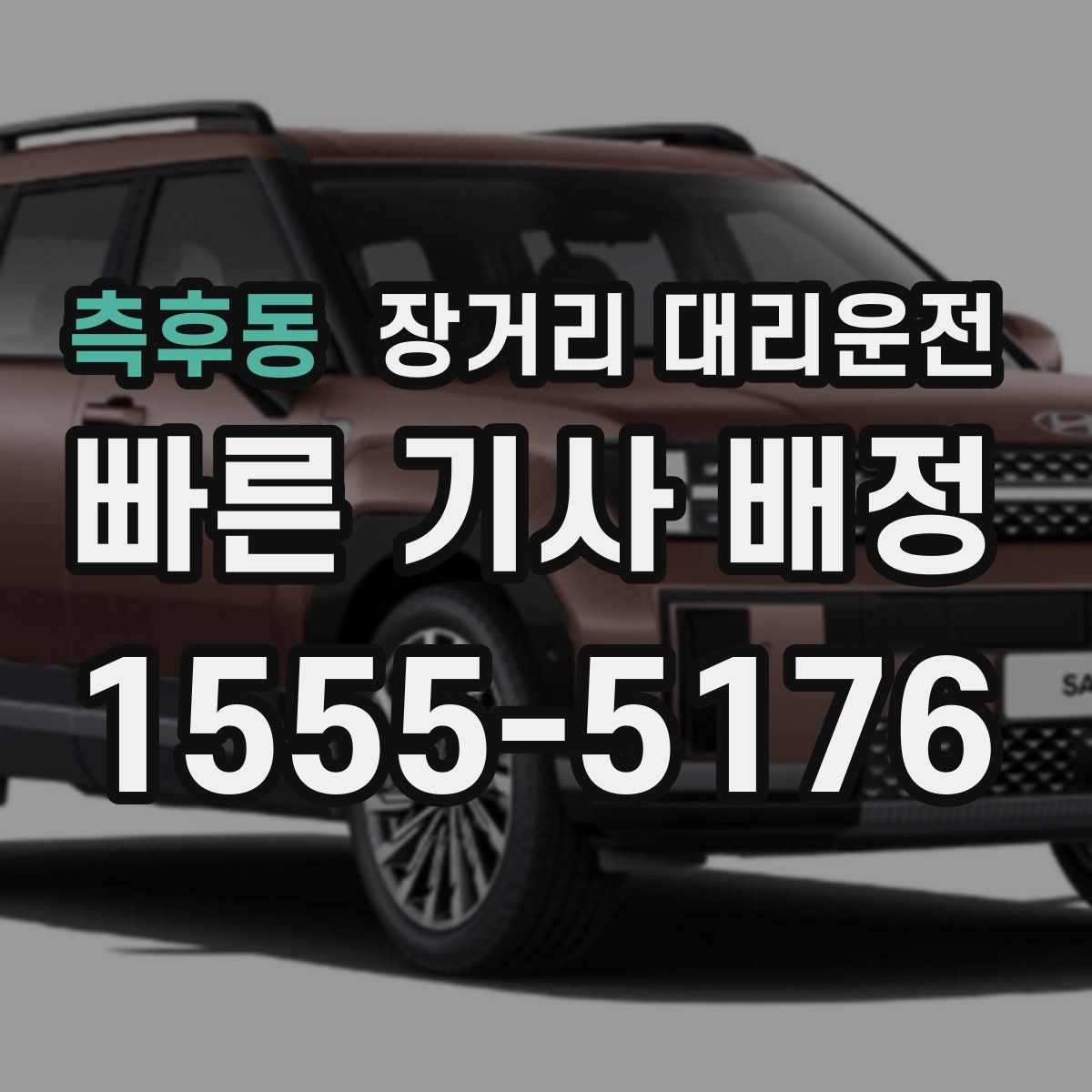 측후동 장거리 대리운전