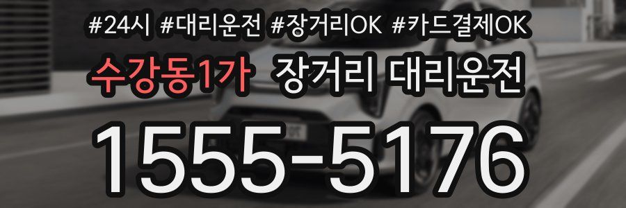 수강동1가 장거리 대리운전