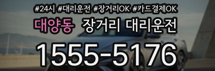 대양동 장거리 대리운전