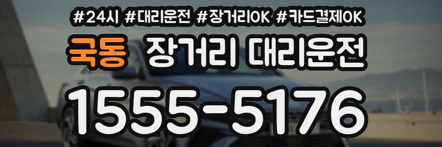 국동 장거리 대리운전
