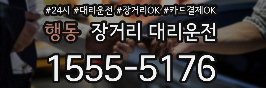 행동 장거리 대리운전