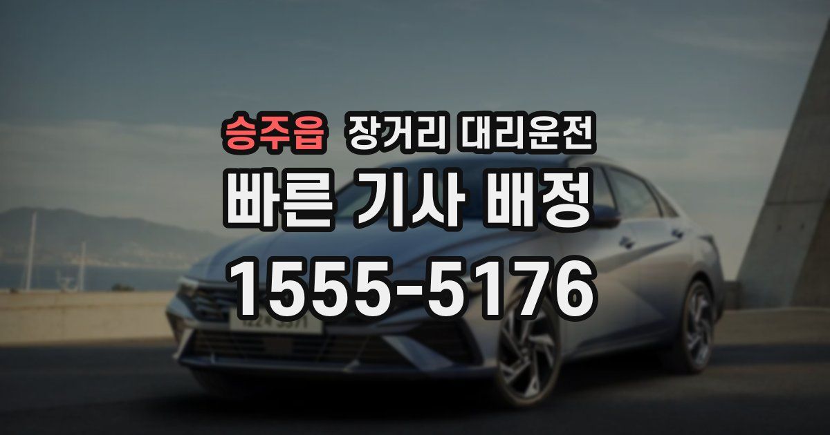 승주읍 장거리 대리운전
