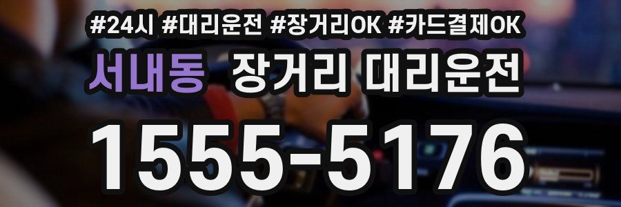 서내동 장거리 대리운전