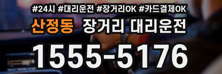 산정동 장거리 대리운전