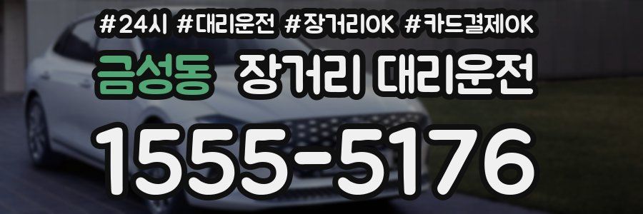 금성동 장거리 대리운전