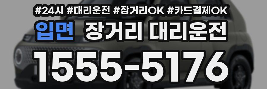 입면 장거리 대리운전
