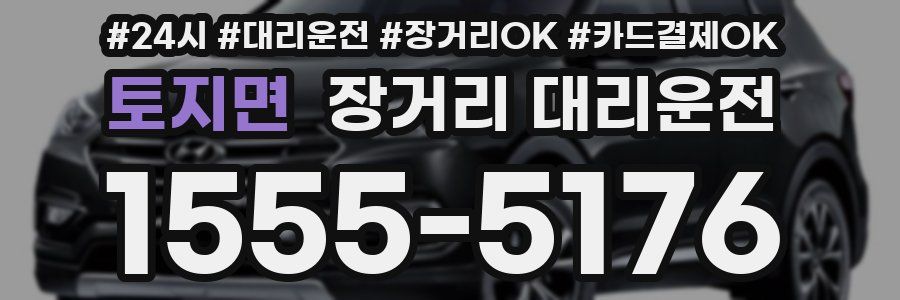 토지면 장거리 대리운전