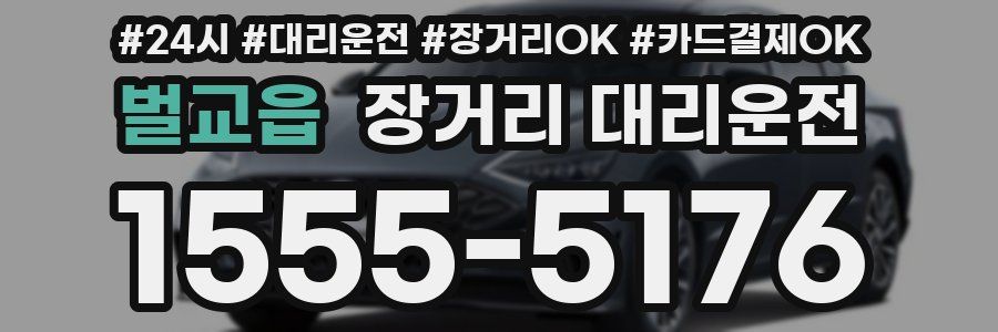 벌교읍 장거리 대리운전