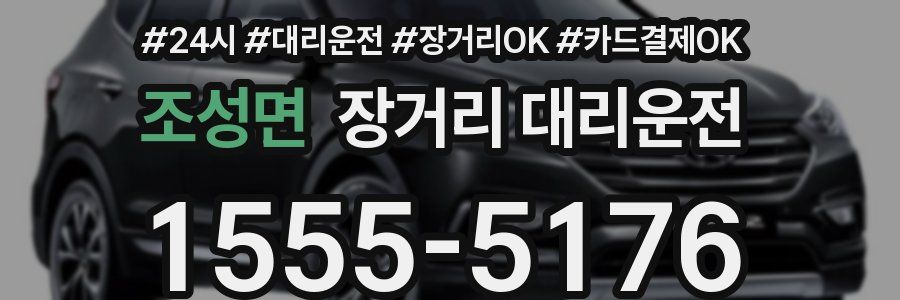 조성면 장거리 대리운전