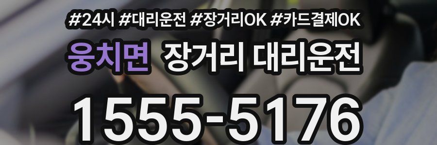 웅치면 장거리 대리운전