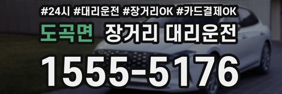 도곡면 장거리 대리운전